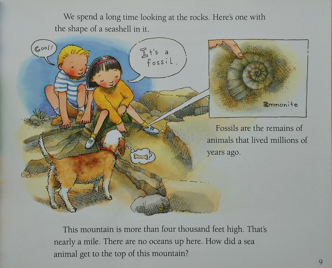 How Mountains Are Made a fossil on top of the mountain. Geography resource for kids