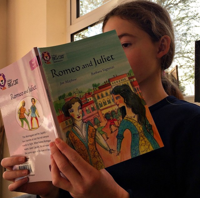 The Collins Key Stage 2 version of Romeo and Juliet. A great introduction to one of Shakespeares works