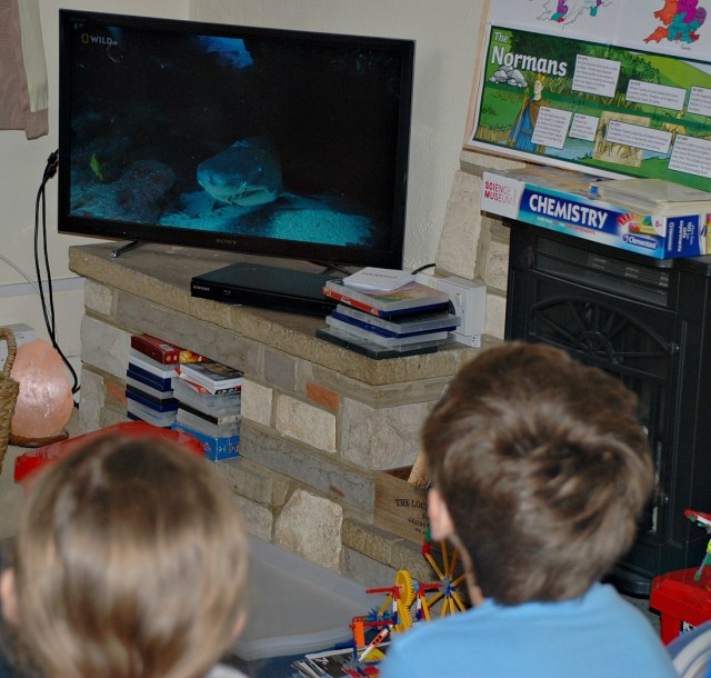 watching a Shark documentary