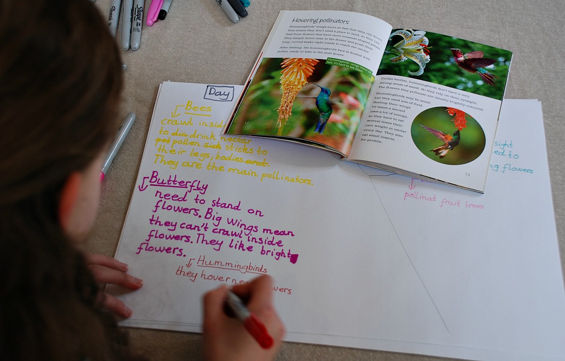 summarizing the pollinators book onto a page