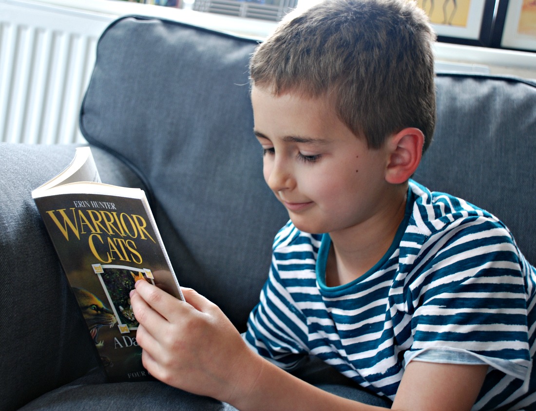 reading Warrior Cat a dangerous path