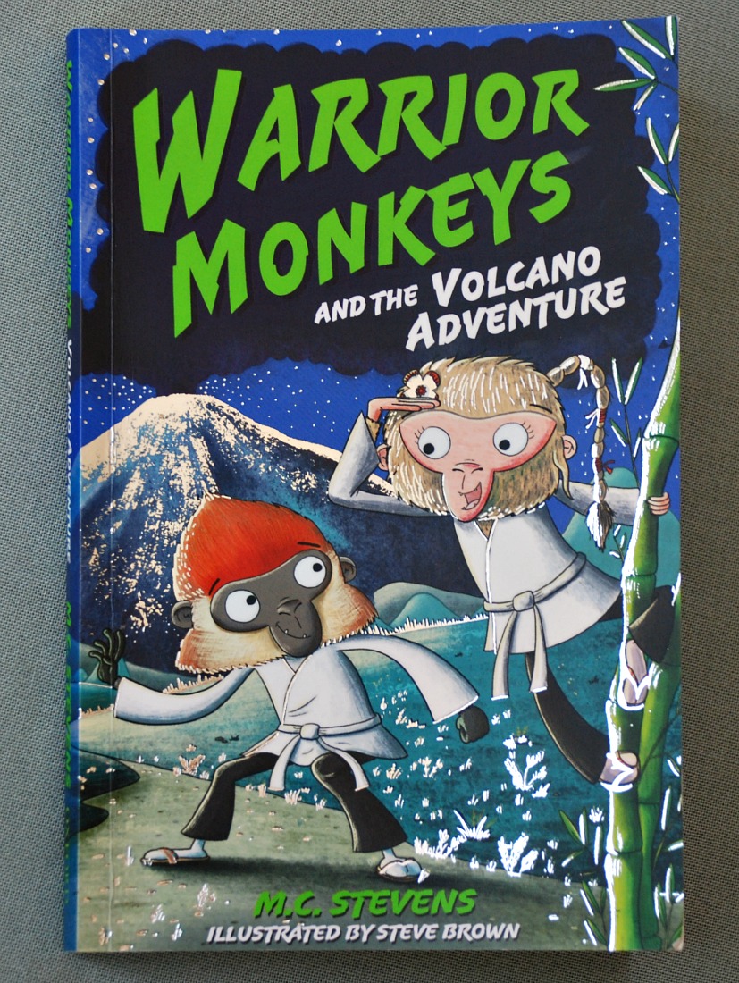 Warrior Monkeys and the Volcano Adventure. A fun adventure story about monkeys and bears that do martial arts
