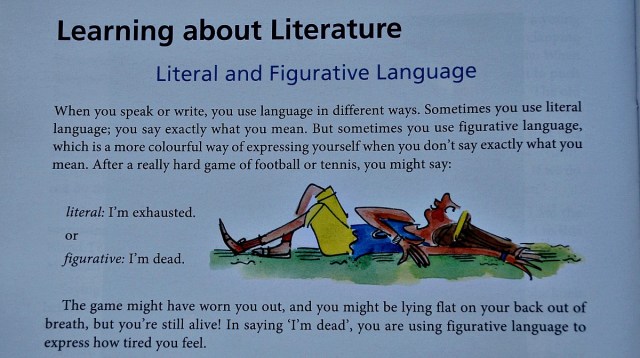 What Your Year 6 CHild needs to Know. English literal vs figurative language