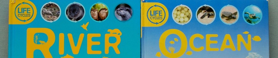 Life Cycle Books. Life cycles of animals that live in the Mountain, Forest, River and Ocean