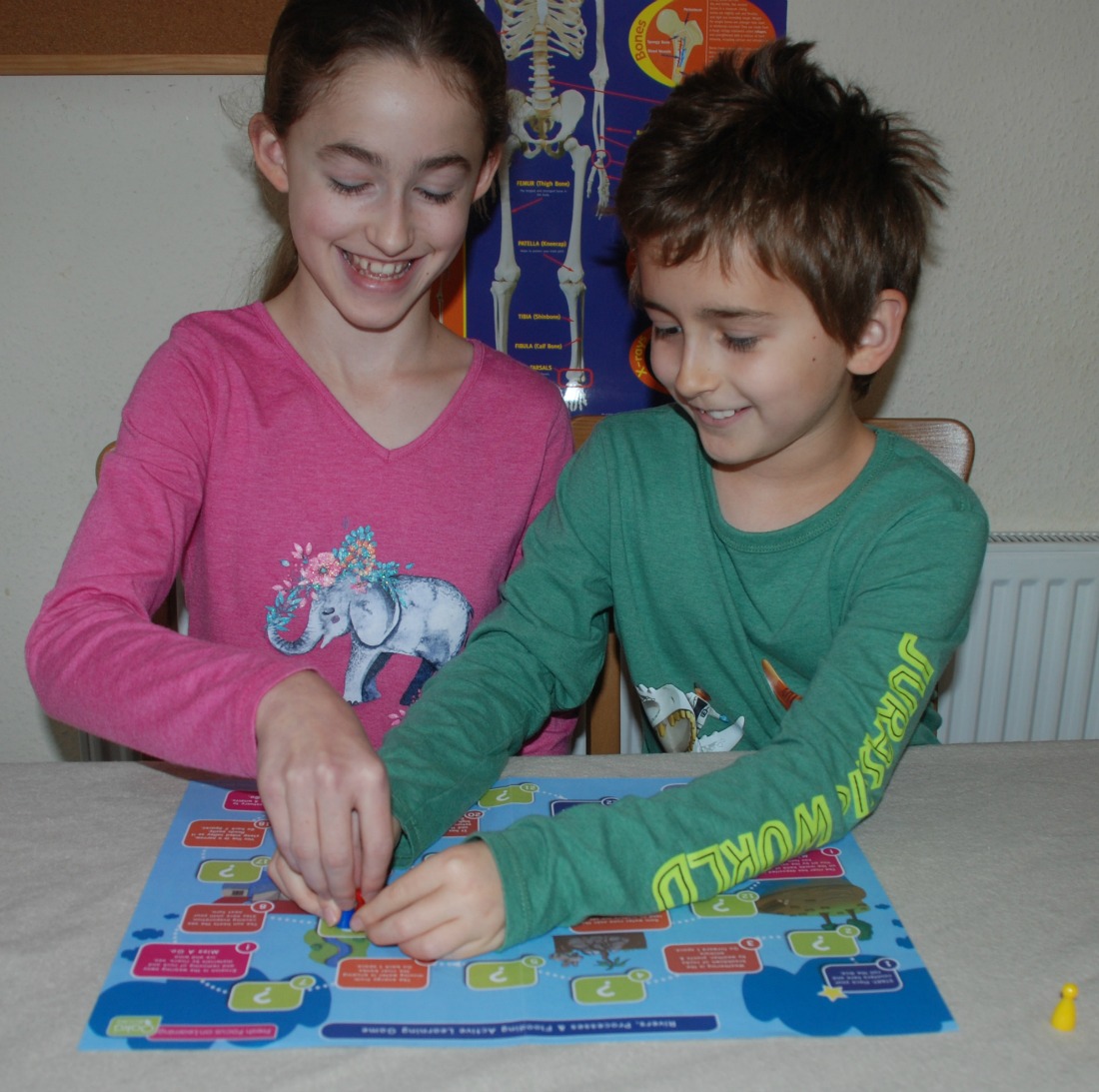 playing the learning game included in the Rivers, Processes and Flooding pack