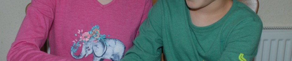 playing the learning game included in the Rivers, Processes and Flooding pack