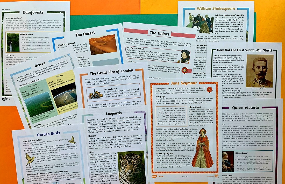 Some examples of the comprehension topics on the Twinkl Resources website