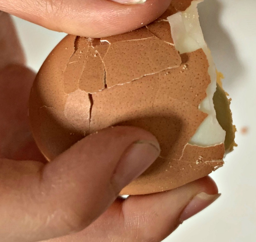 egg tectonics different plates