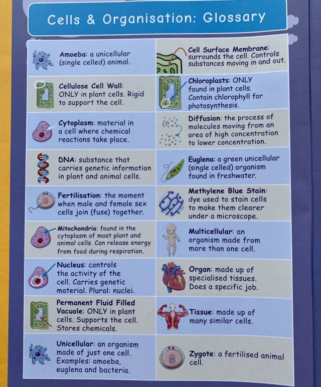 Glossary page included in both topic booklet and write your own notes