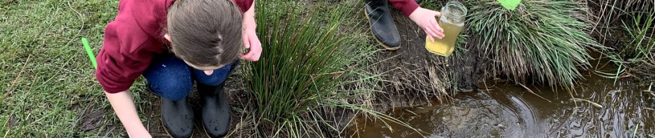 pond dipping with nets