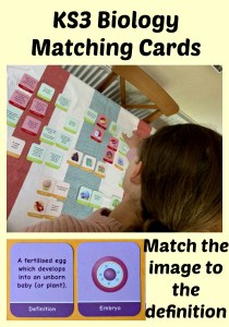 Biology Pairs Matching game. Match the image to the description. KS3 Science. Fun revision