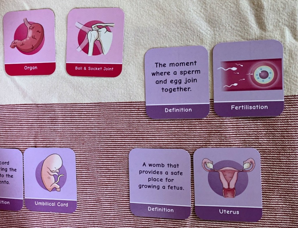 Biology Pairs Game from Oaka Books. KS3 science resource