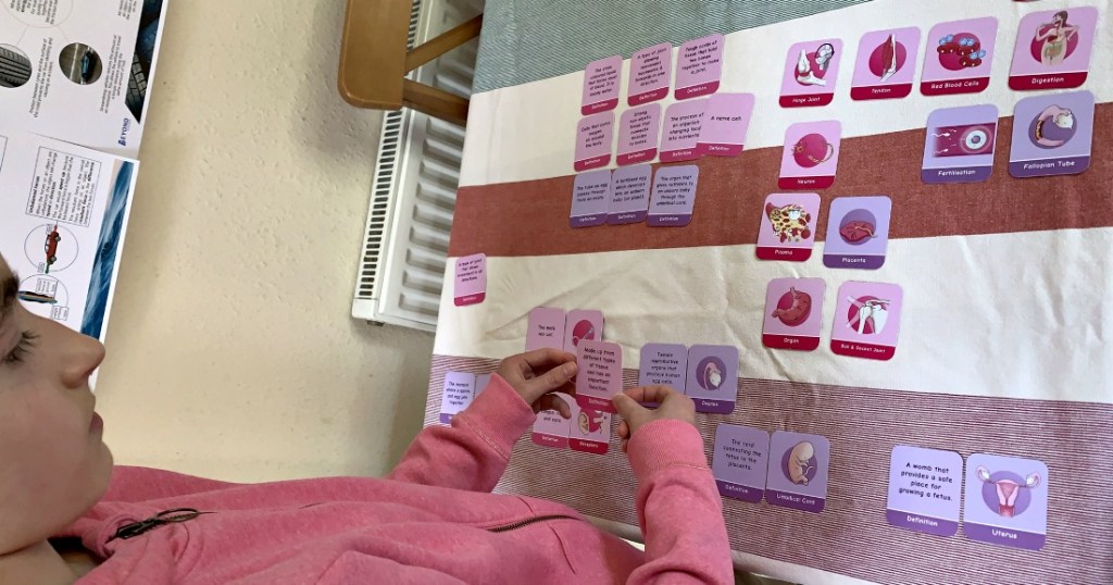 Biology matching pairs game From Oaka Books