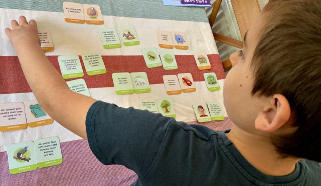 Younger kid using the biology pair cards