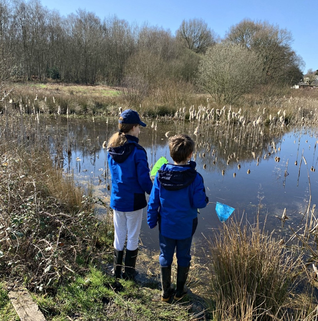 starting home education