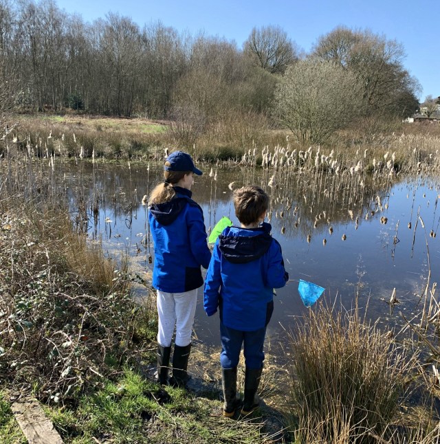 starting home education