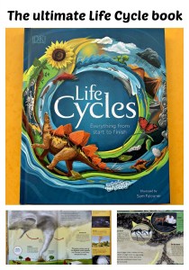 The ultimate life cycles book. Everything from a tornado to animals and plants.