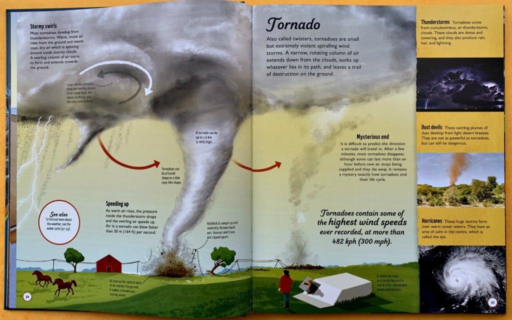 DK Life Cycles. Everything from Start to Finish
