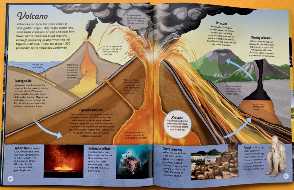 DK Life Cycles. Everything from Start to Finish