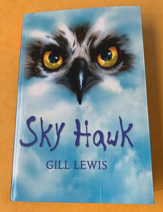 Sky Hawk a stunning book written by Gill Lewis