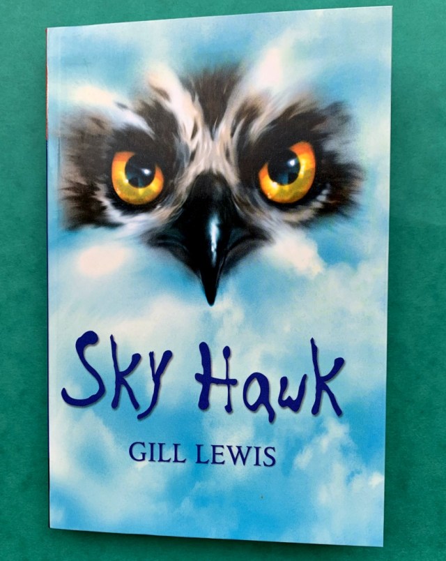 Sky Hawk by Gill Lewis