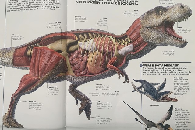 Knowledge Encyclopedia Dinosaur