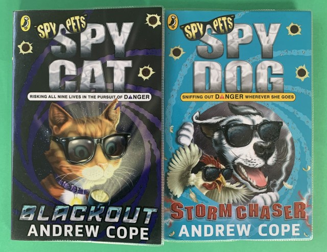 spy dog and spy cat