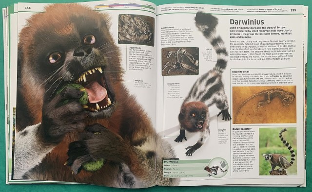 Knowledge Encyclopedia Dinosaur