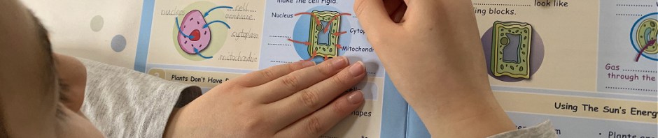 Plants and Photosynthesis Topic Pack from Oaka Books