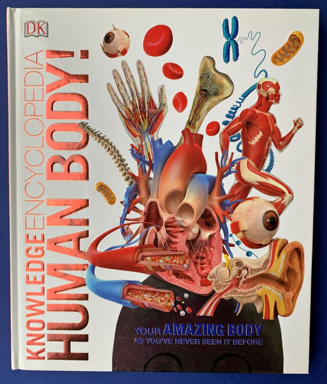 Knowledge Encyclopedia human Body from DK