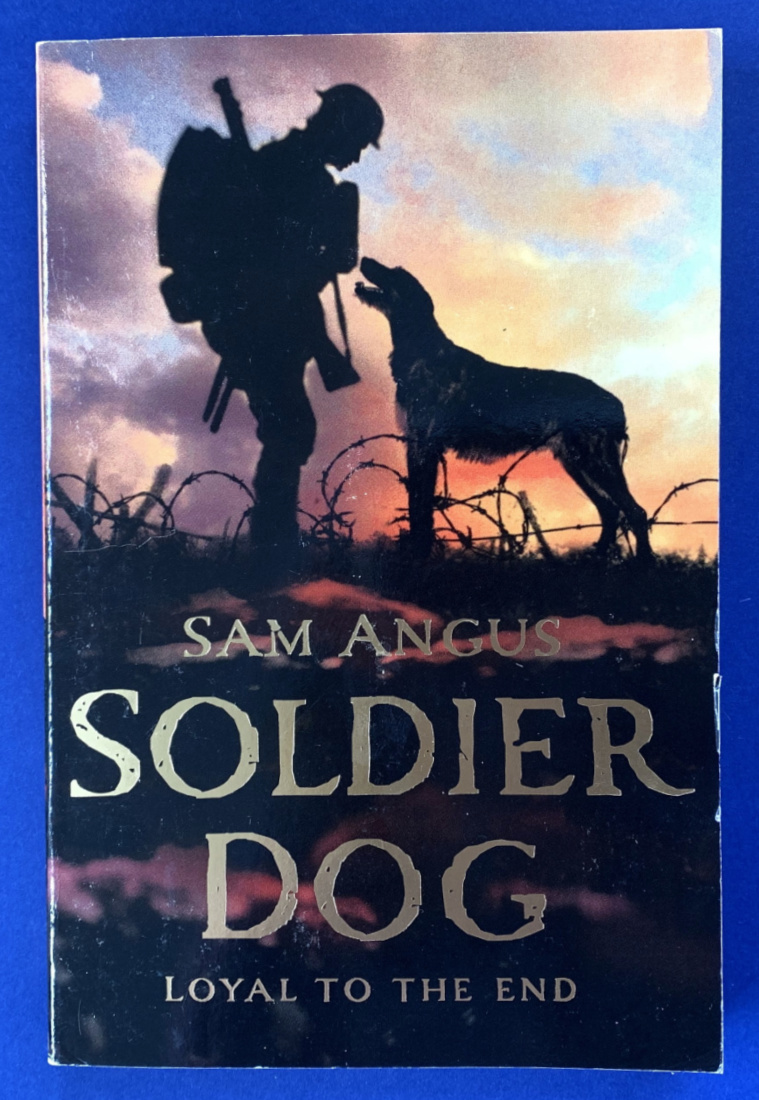 Starting Year 9 History resource ideas. War literature