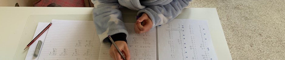 Mastering Mathematics by Hodder Education Year 9 Books