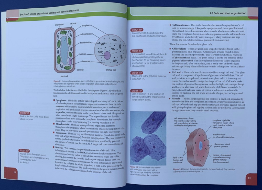 Hodder Education Edexcel International GCSE Biology Student Book