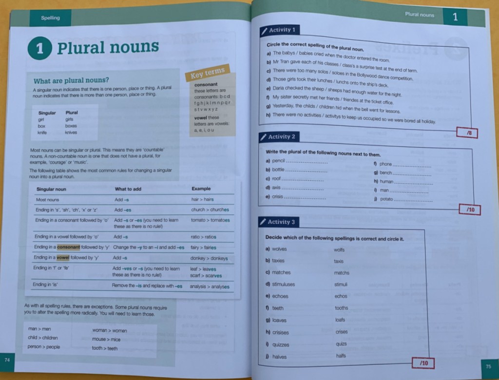 GCSE English Language workbook which cover Spelling, Punctuation and Grammar and has questions where kids need to apply concepts to text