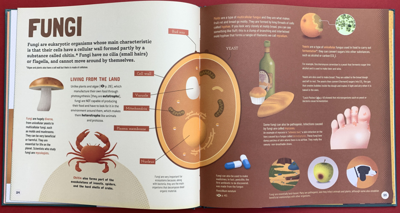 KS2 Science Books | ofamily learning together